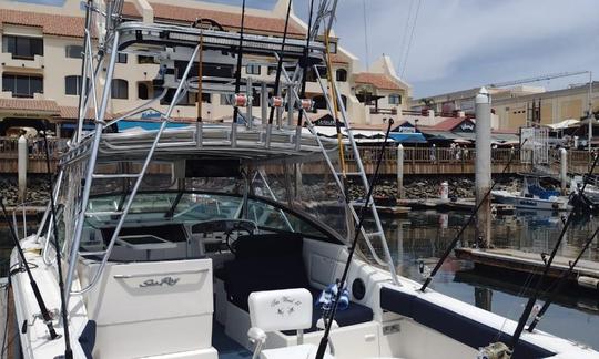 33ft Amberjac Fishing Charter in Cabo San Lucas