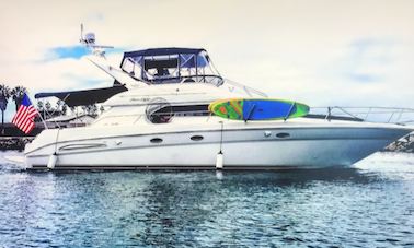 Sea Ray 450 Express Bridge to Enjoy the Beauty of San Diego!