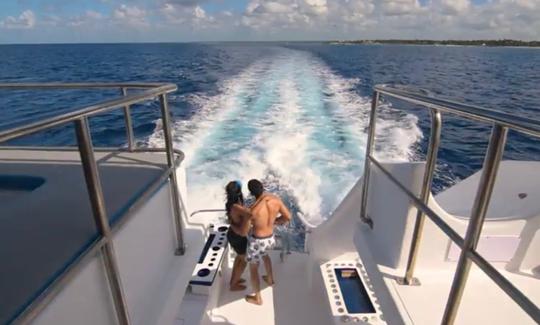 DISCOVERY PUNTA DE LOS NIDOS ISLAND 🏝️ PRIVATE CHARTER😎☀️BOOK NOW