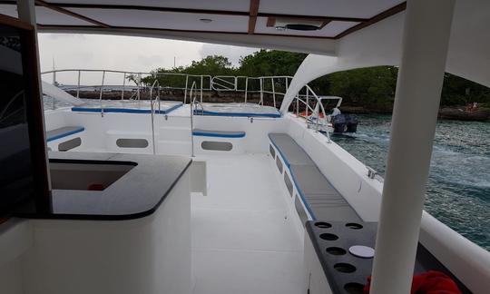 DISCOVERY PUNTA DE LOS NIDOS ISLAND 🏝️ PRIVATE CHARTER😎☀️BOOK NOW