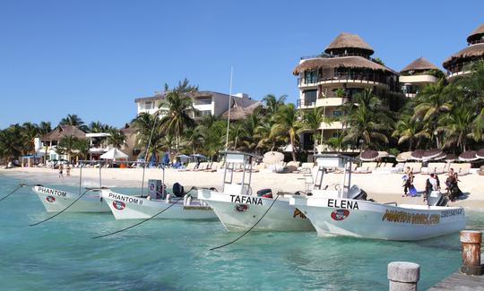 Passeios de mergulho e cursos PADI para iniciantes e especialistas em Playa del Carmen, México