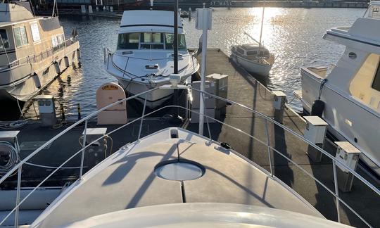 Reserve the Cruisers 3750 Yacht in Seattle, Washington