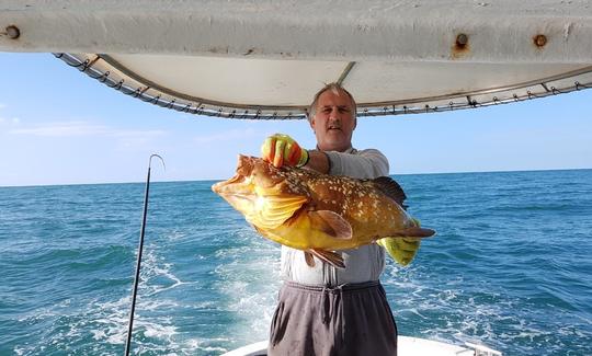 Jeanneau Merry Fisher 705 Rent a Boat Bar, Montenegro