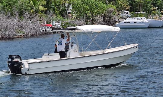 Seagull Charters 26' Angler Panga Tours em Hope Town, Abaco, Bahamas