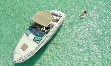 Cap Cana Marina Private Yacht Searay 25 FT