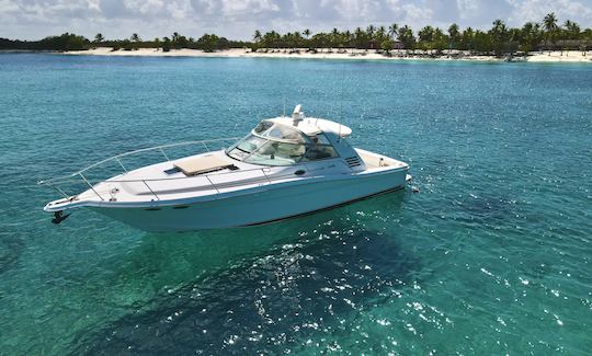 SeaRay Yacht Sport at Cap Cana Marina . Apc yacht and Boats.