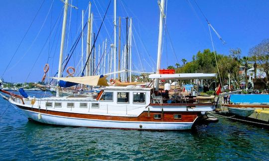 Private charter for daily and weekly boat trip on Gulet DL 