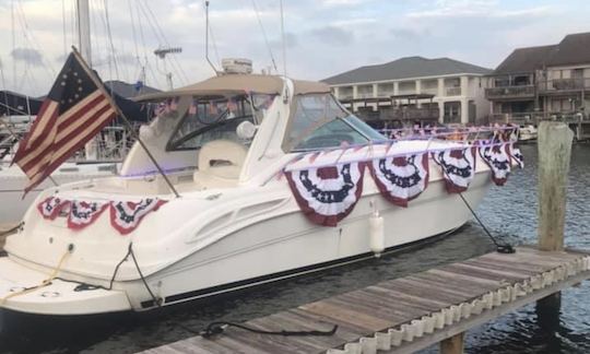 45' Sea Ray Cruiser Yacht Charter in Port Corpus Christi, Texas