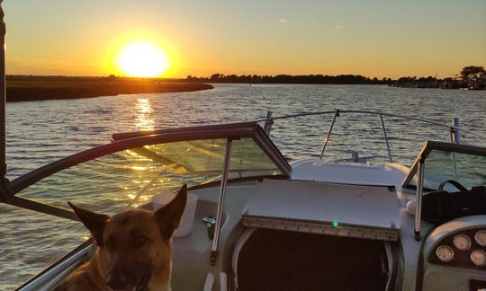 Bayliner de 25' à louer à East Rockaway