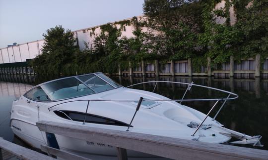 Bayliner de 25' à louer à East Rockaway