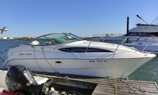 Bayliner de 25' à louer à East Rockaway