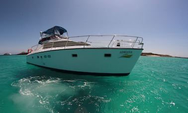 Excursion d'une journée dans les îles Galápagos