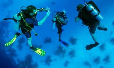 Two dives for certified divers in Fujairah