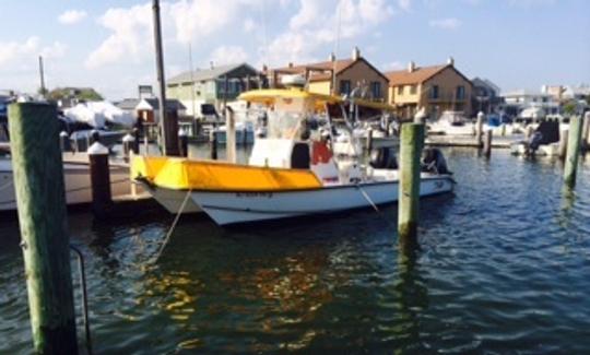 Alugue este barco de pesca com catamarã de 26 pés no console central em Brigantine, Nova Jersey