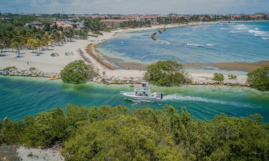 NOUVEAU MODÈLE Piratas de 33 pieds | Location de bateaux | Riviera Maya