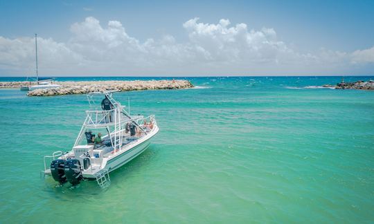 NOUVEAU MODÈLE Piratas de 33 pieds | Location de bateaux | Riviera Maya