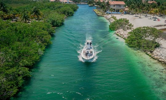 Piratas TOO | Open de luxe Tajoma de 33 minutes 2021 | Location de bateaux à Playa del Carmen