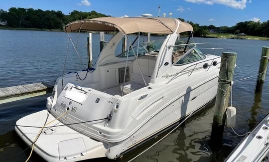 Louez ce bateau de croisière Sea Ray Cuddy Cabin de 300 mètres à Washington, DC