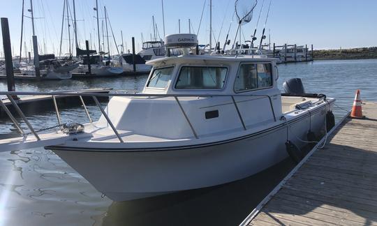 Barco de pesca Parker 2520 XL 2014 em São Francisco