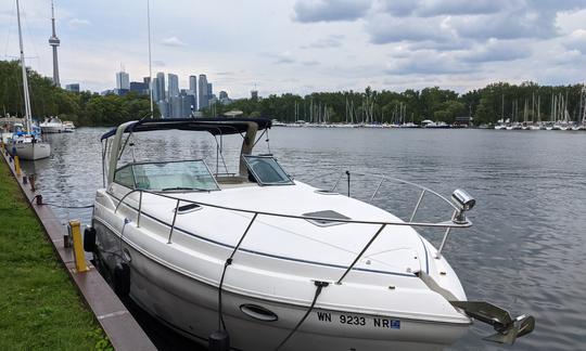 Cruzeiro pelo horizonte de Toronto