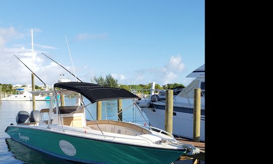 Pesca de fundo e em alto mar em 35 pés