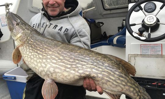 29lb pike