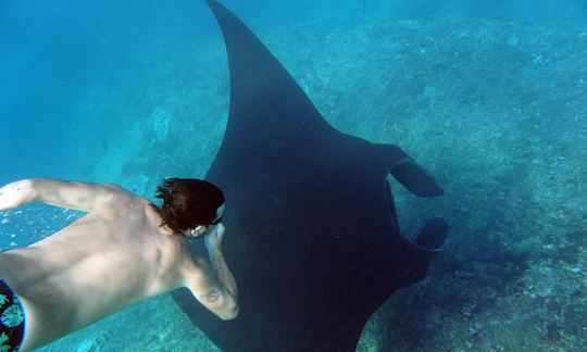 Plongée en apnée avec des raies manta à Bali. Prix de départ pour la location du bateau.