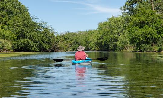 Kayaks récréatifs Pelican Trailblazer de 10 pieds à louer à Lake Bluff