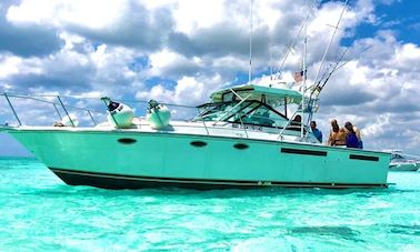 Tiara Yachts 31 Open for Charter!! Beach or Snorkeling Adventures!