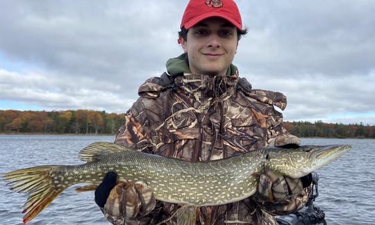 Northern Pike