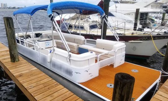 Bentley Pontoon Tour of Pensacola Bay! - 4 Hour Special