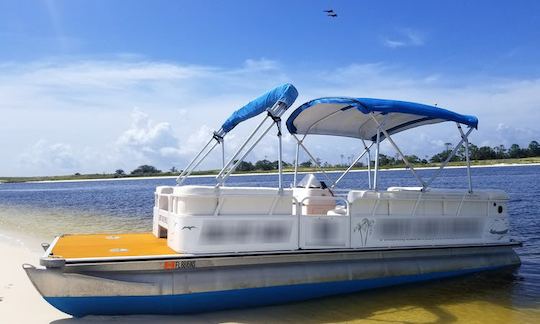 Bentley Pontoon Tour of Pensacola Bay! - 4 Hour Special