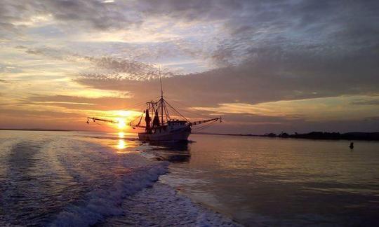 Excursions, croisières ou pêche sur l'île de la région de Charleston avec le capitaine Chris