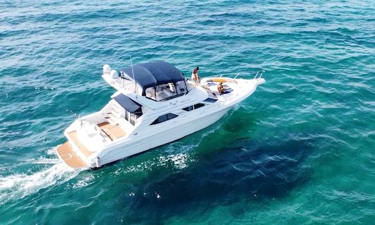 Sea Ray Express Bridge 47 Motor Yacht in Tulum / Playa del Carmen with open bar