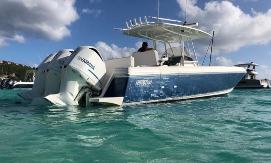 Bateau à moteur Intrepid de 37 pieds pour 12 personnes à Saint-Thomas