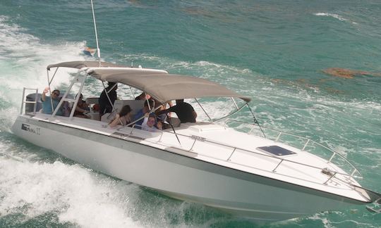 34' Center Console - charters St Maarten-Anguilla-St.Bart's- Great Crew