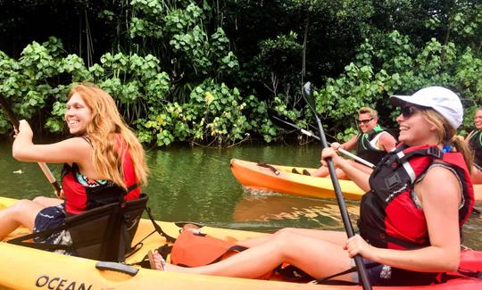 Excursion autoguidée en kayak dans la forêt tropicale de Kahana