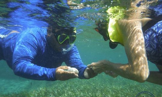 Snorkeling Lessons