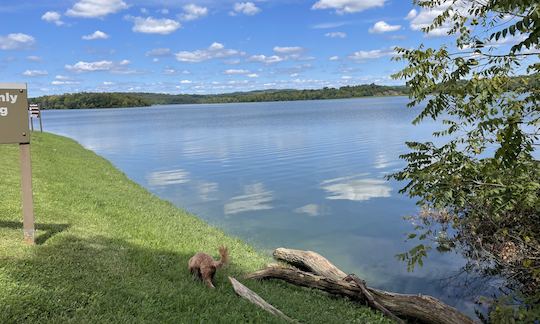 Isle Stand Up Paddleboard for rent in Sinking Spring, PA