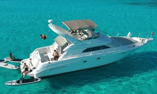 All-inclusive 51' Yacht - Puerto Aventuras - Afternoon Charter