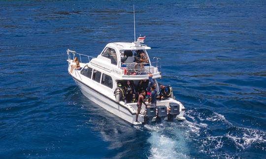 Croisière, plongée avec tuba et plongée sous-marine avec des raies manta à Bali