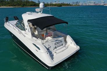 2020 Searay de 35 pies con Captain Snorkel, recogida apta para perros en Miami Beach Marina