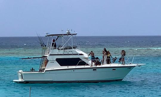 Alugue o Hattras Motor Yacht de 42 pés em Oranjestad, Aruba