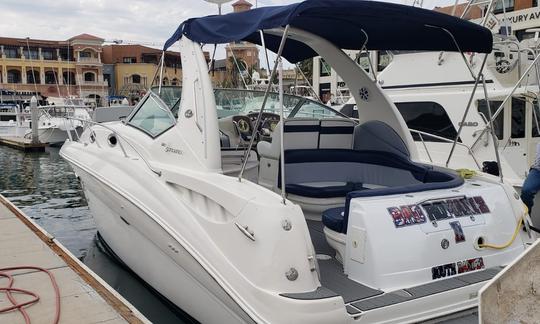 Sea Ray Sundancer 32Ft Motor Yacht Rental in Cabo San Lucas, Baja California Sur