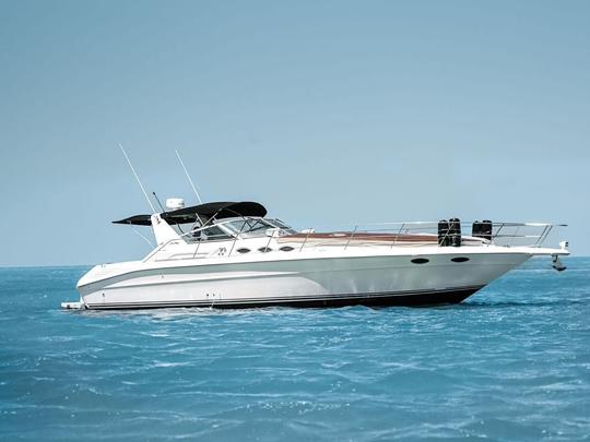 Sea Ray 41 pieds Holbox, Mexique