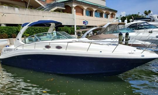 Sea Ray 340 Sundancer de «Net Prophet»