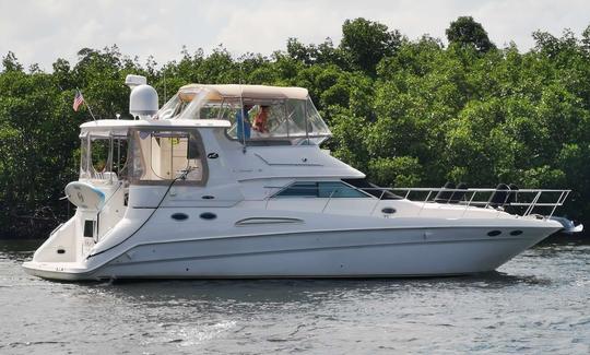 Sea Ray «Shaken Knot Stirred III» de 42 pies con juguetes acuáticos en Fort Lauderdale