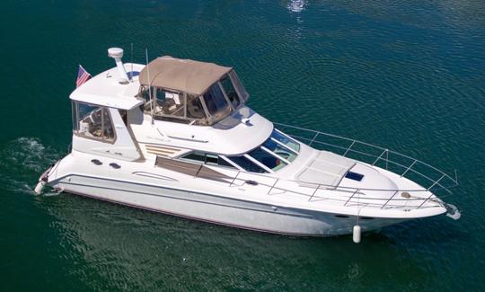 Sea Ray «Shaken Knot Stirred III» de 42 pies con juguetes acuáticos en Fort Lauderdale