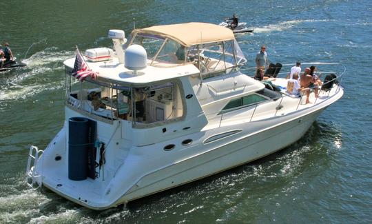 Sea Ray «Shaken Knot Stirred III» de 42 pies con juguetes acuáticos en Fort Lauderdale