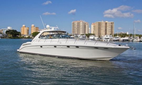 Searay Sundancer for Charter «Yolo» de 50 pies en Fort Lauderdale